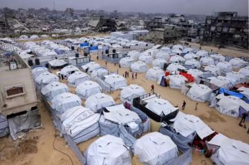 طقس فلسطين: أجواء مغبرة وغائمة جزئيا طقس فلسطين: أجواء مغبرة وغائمة جزئيا