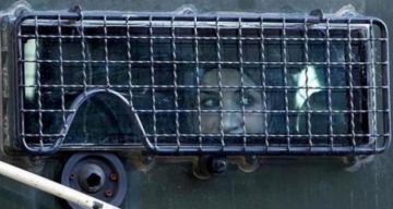 إعلام الأسرى: الأسيرات في سجن الدامون يتعرضن للقمع في تصعيد خطير وممنهج