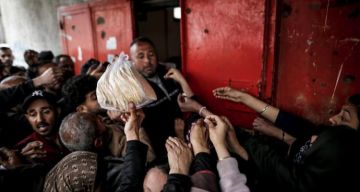 تقرير رغيف الخبز في غزة يلوح بمجاعة قادمة وسط احتلال يمارس هندسة تجويع ممنهجة تقرير رغيف الخبز في غزة يلوح بمجاعة قادمة وسط احتلال يمارس هندسة تجويع ممنهجة