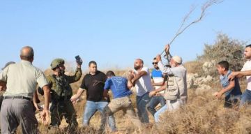 هجمات واسعة للمستوطنين في رام الله والخليل وأريحا وسط دعوات للتصدي والمواجهة