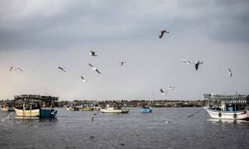 أجواء مستقرة خلال الأسبوع القادم 