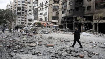 مركز حقوقي: الاحتلال يوظف القوارض والأوبئة سلاحا ممنهجا ضد المدنيين في غزة