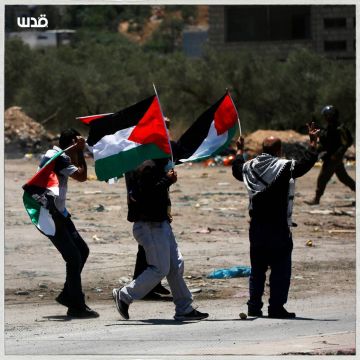 بالصور والفيديو عشرات الإصابات بالرصاص المطاطي والاختناق في بيتا