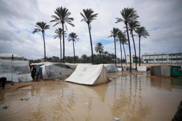 توقعات الطقس في فلسطين الأحد حتى الثلاثاء توقعات الطقس في فلسطين الأحد حتى الثلاثاء
