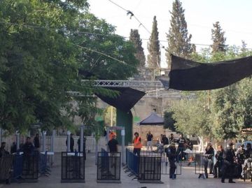 الأقصى يشتعل لليوم الثامن.. المصلون يعتصمون والمستوطنون يقتحمون