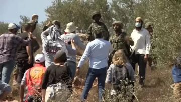 1846 اعتداء للاحتلال ومستوطنيه في الضفة منذ بداية أبريل الجاري 