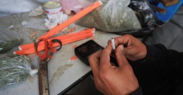 في غزة الملوخية تتحول إلى بديل الدخان !؟