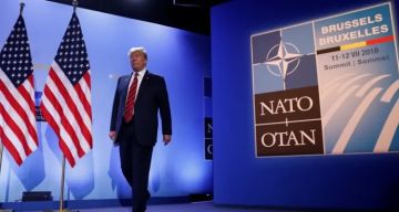 نمر من ورق.. ترامب يلوح بالانسحاب من الناتو ويهاجم الحلفاء بسبب حرب إيران