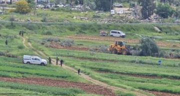 لليوم الثاني.. الاحتلال يقتلع أشجار قرية اللبن المثمرة