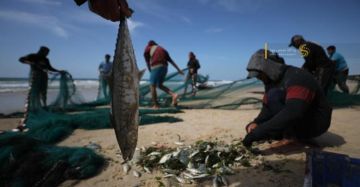 بالصور في عرض البحر.. صيادو غزة يواجهون التضييق الإسرائيلي بالإصرار بالصور في عرض البحر.. صيادو غزة يواجهون التضييق الإسرائيلي بالإصرار
