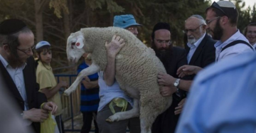 7 محاولات لإدخال قرابين للمسجد الأقصى خلال الفصح اليهودي