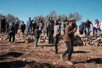 تقرير اعتداءات المستوطنين تتصاعد في الضفة.. والمواطنون بلا حماية تقرير اعتداءات المستوطنين تتصاعد في الضفة.. والمواطنون بلا حماية