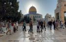 تصعيد جديد يهدد الوضع في المسجد الأقصى