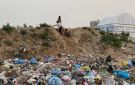 كيف يوظف الاحتلال القوارض والأوبئة سلاحا ممنهجا ضد المدنيين في قطاع غزة؟ - ps