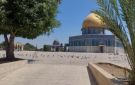 مسؤول بأوقاف القدس يرجح إعادة فتح المسجد الأقصى في هذا الموعد - ps