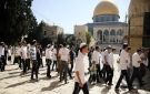 عشرات المستوطنين يقتحمون الأقصى ويؤدون طقوسا تلمودية في المنطقة الشرقية
