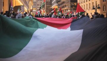 مسيرات لإحياء ذكرى النكبة في عدة مدن أميركية مسيرات لإحياء ذكرى النكبة في عدة مدن أميركية