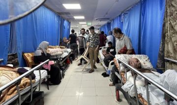 الصحة: وفاة 50 مريضا بالثلاسيميا في غزة منذ بدء الحرب الصحة: وفاة 50 مريضا بالثلاسيميا في غزة منذ بدء الحرب