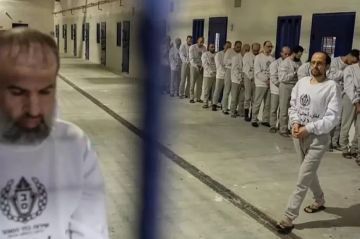 السكافي: الاحتلال يبني منظومة تشريعية لتحويل القضاء إلى أداة قتل السكافي: الاحتلال يبني منظومة تشريعية لتحويل القضاء إلى أداة قتل