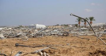 مركز دراسات: 86  من أراضي غزة الزراعية تضررت خلال حرب الإبادة