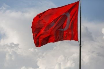 سجن مغن تركي ثلاث سنوات بسبب منشورات تدين أعمال إسرائيل في غزة سجن مغن تركي ثلاث سنوات بسبب منشورات تدين أعمال إسرائيل في غزة