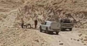 مستوطنون يُنفذون أعمال عربدة واستفزاز في بيت لحم