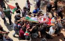 الإحصاء: 73 ألف شهيد بغزة و8.1 ملايين لاجئ في الذكرى الـ78 للنكبة