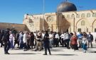 بذكرى ما يسمى توحيد القدس منظمات الهيكل تطلق حملة لفرض اقتحام المسجد الأقصى يوم الجمعة