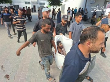 حماس: استهداف محيط اليمن السعيد استمرار للمجازر حماس: استهداف محيط اليمن السعيد استمرار للمجازر
