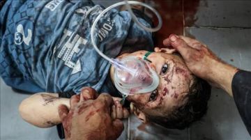 صحة غزة: قيود السفر تهدد بوقف التحويلات الطبية صحة غزة: قيود السفر تهدد بوقف التحويلات الطبية