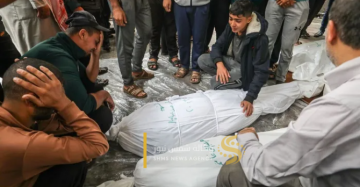 933 شهيدا منذ وقف النار في غزة 933 شهيدا منذ وقف النار في غزة