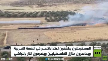 الضفة.. موجة جديدة من اعتداءات الاستيطان