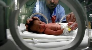إحصائية: 1701 مولود جديد في غزة خلال مايو إحصائية: 1701 مولود جديد في غزة خلال مايو
