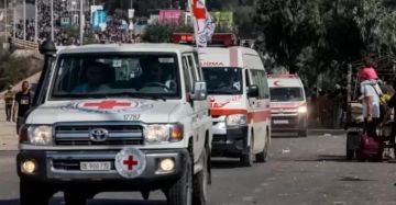 الصليب الأحمر: سهلنا نقل 2500 أسير من غزة الصليب الأحمر: سهلنا نقل 2500 أسير من غزة