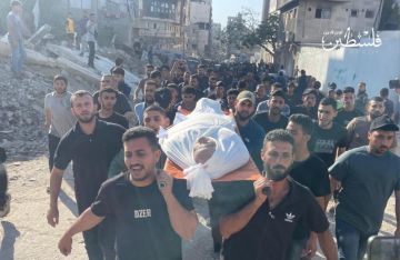 10 شهداء و36 إصابة في غزة خلال 24 ساعة 10 شهداء و36 إصابة في غزة خلال 24 ساعة