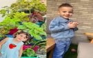 فاجعة... وفاة طفلين غرقا في قلقيلية والخليل - ps