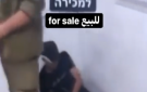 خاص حقوقي لشهاب: فيديو إهانة الأسرى الأطفال انتهاك مروع يوجب ملاحقة قادة الاحتلال دوليا