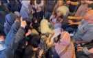 روسيا: وقف إطلاق النار بغزة لم يوفر الأمان للمدنيين