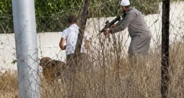 تقرير  الاحتلال يحول مجزرة بلدة  تل  إلى  ذريعة  لتوسيع العقاب الجماعي والتوسع الاستيطاني في نابلس