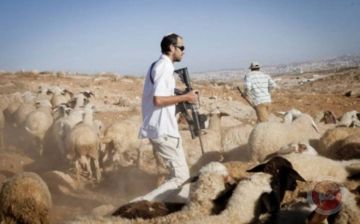 الضم يتسارع.. تصعيد غير مسبوق في المشاريع الاستيطانية بالضفة في 2025 الضم يتسارع.. تصعيد غير مسبوق في المشاريع الاستيطانية بالضفة في 2025