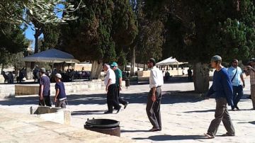 المستوطنون في الأقصى وحالة توتر داخل باحاته المستوطنون في الأقصى وحالة توتر داخل باحاته