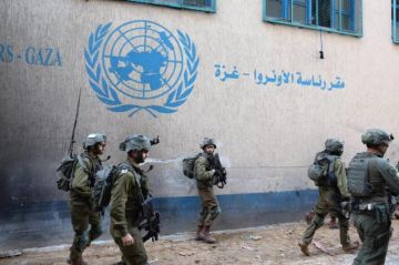هيومن ووتش: لا بديل عن الأونروا في غزة هيومن ووتش: لا بديل عن الأونروا في غزة