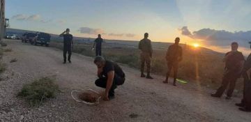 فصائل فلسطينية تبارك عملية سجن جلبوع : عمل بطولي كبير وشعبنا لن يستسلم فصائل فلسطينية تبارك عملية سجن جلبوع : عمل بطولي كبير وشعبنا لن يستسلم