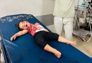 ثمانية شهداء و40 جريحا في يوم دام بالقطاع والصواريخ تحرق خيام النازحين بخان يونس ثمانية شهداء و40 جريحا في يوم دام بالقطاع والصواريخ تحرق خيام النازحين بخان يونس
