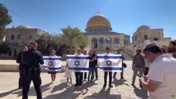 القدس.. مئات المستوطنين يقتحمون المسجد الأقصى القدس.. مئات المستوطنين يقتحمون المسجد الأقصى