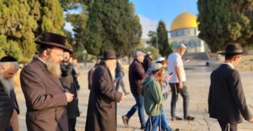 1489 مستوطنا اقتحموا الأقصى خلال أسبوع 1489 مستوطنا اقتحموا الأقصى خلال أسبوع