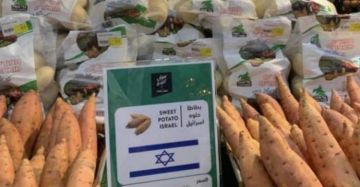 مصر ترحب بحظر هولندا لمنتجات المستوطنات مصر ترحب بحظر هولندا لمنتجات المستوطنات
