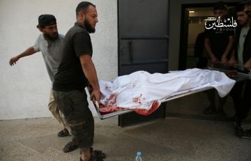 3 شهداء في قصف إسرائيلي متفرق على غزة 3 شهداء في قصف إسرائيلي متفرق على غزة