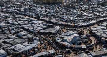 اللجان الشعبية تدعو إلى الإسراع في تسلم اللجنة الوطنية مهامها في غزة اللجان الشعبية تدعو إلى الإسراع في تسلم اللجنة الوطنية مهامها في غزة