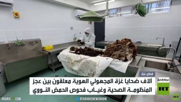 الجثث المجهولة الهوية.. فصل معاناة جديد الجثث المجهولة الهوية.. فصل معاناة جديد